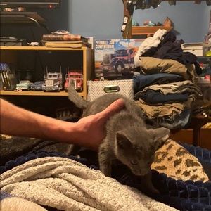 Meet your Posher, Bridgette